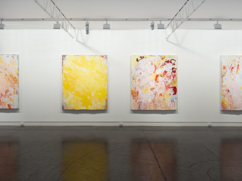 Aida Tomescu, Installation View From Left 'Pencil Yam' 'Gloria' 'Anemone I' and 'Aurora', 2014