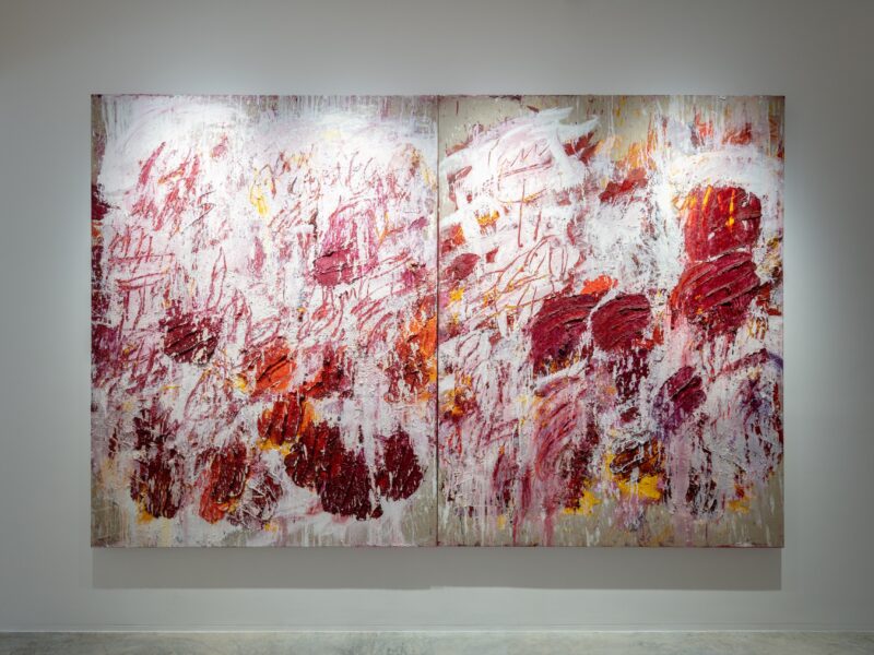 Aida Tomescu, Installation view, The Open Wounds of White Clouds, 2019