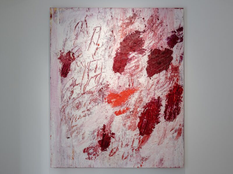 Aida Tomescu, Installation view, The Open Wounds of White Clouds III, 2019