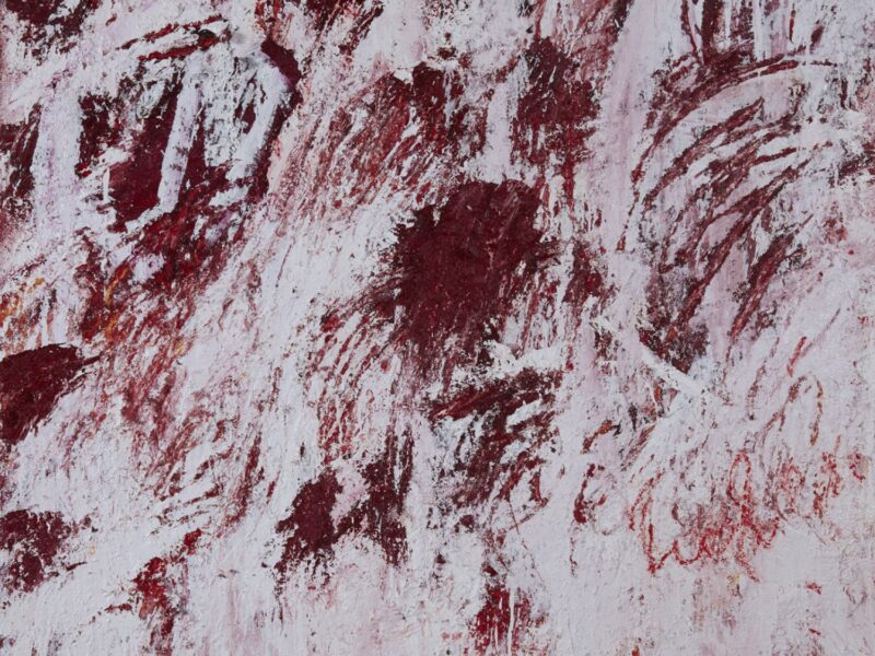 Aida Tomescu, Into the throat of the snow I, 2019
