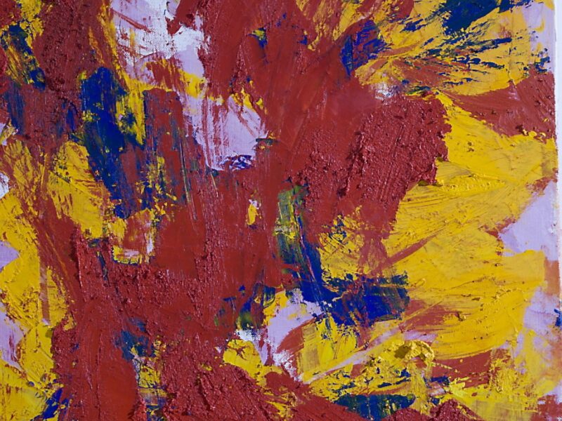 Aida Tomescu, Juno (detail), 2008