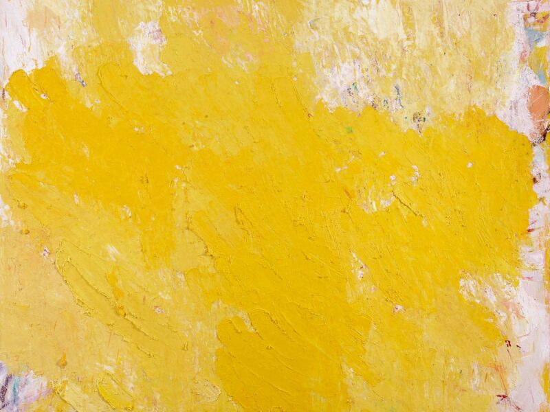 Aida Tomescu, Larkspur, 2011