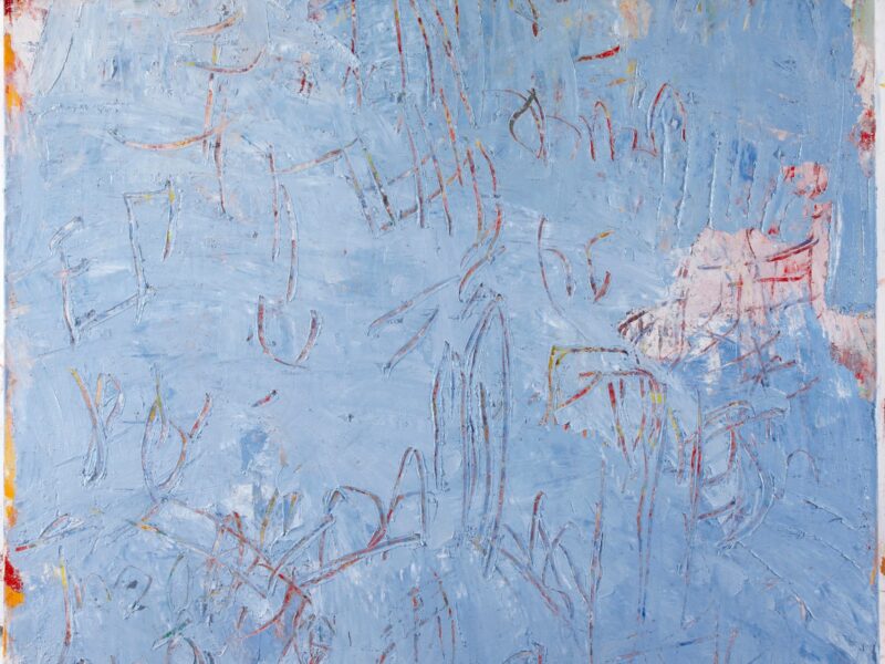 Aida Tomescu, Littoral