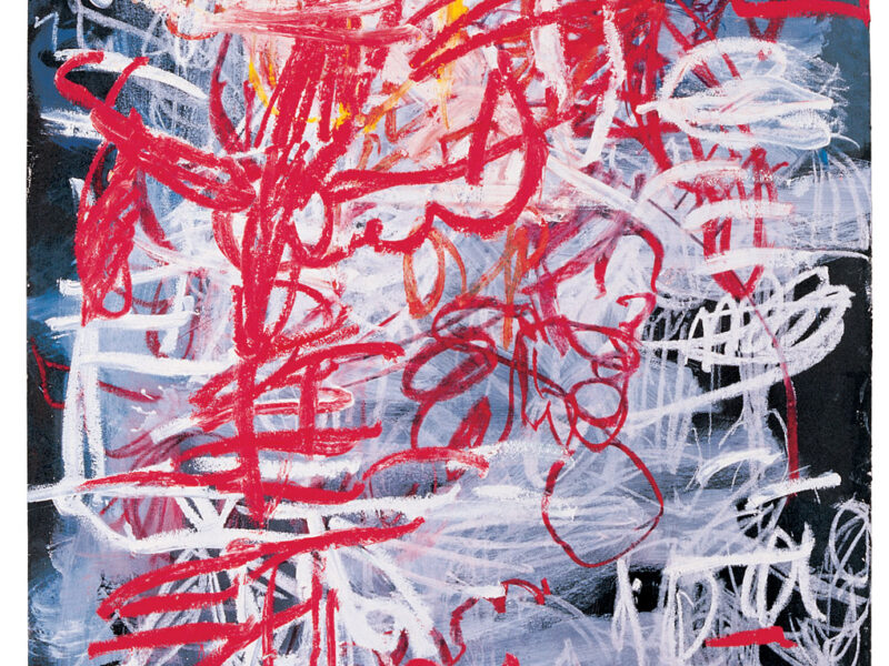 Aida Tomescu, Louisiane, 2008