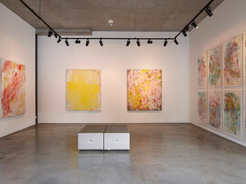 Aida Tomescu, Milky Way Installation View 10, 2012