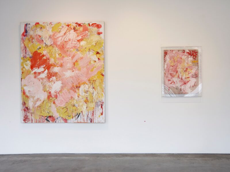 Aida Tomescu, Milky Way Installation View 10, 2012