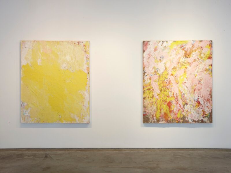 Aida Tomescu, Milky Way Installation View 17, 2012