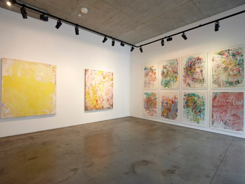 Aida Tomescu, Milky Way Installation View 21, 2012