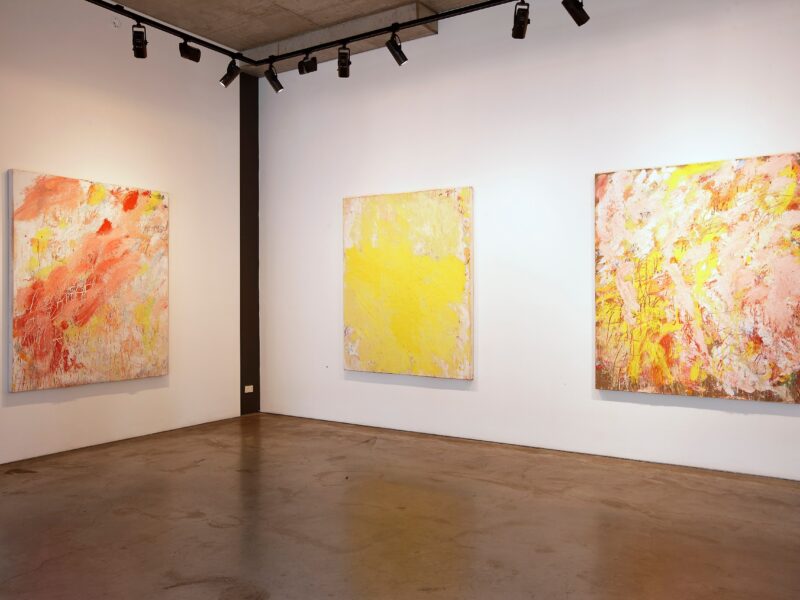 Aida Tomescu, Milky Way Installation View 5, 2012