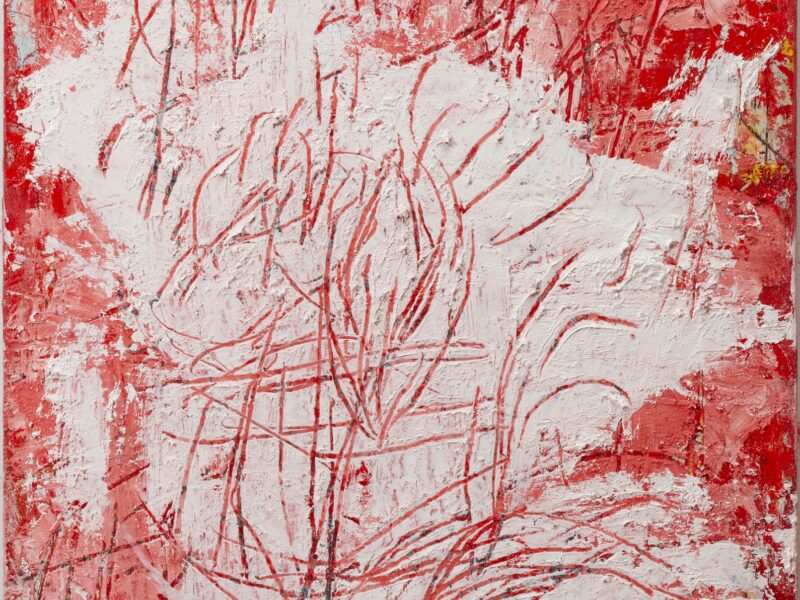 Aida Tomescu, Palm II, 2009
