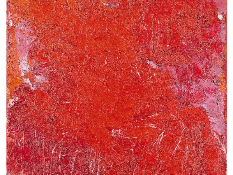 Aida Tomescu, Paroi, 2007