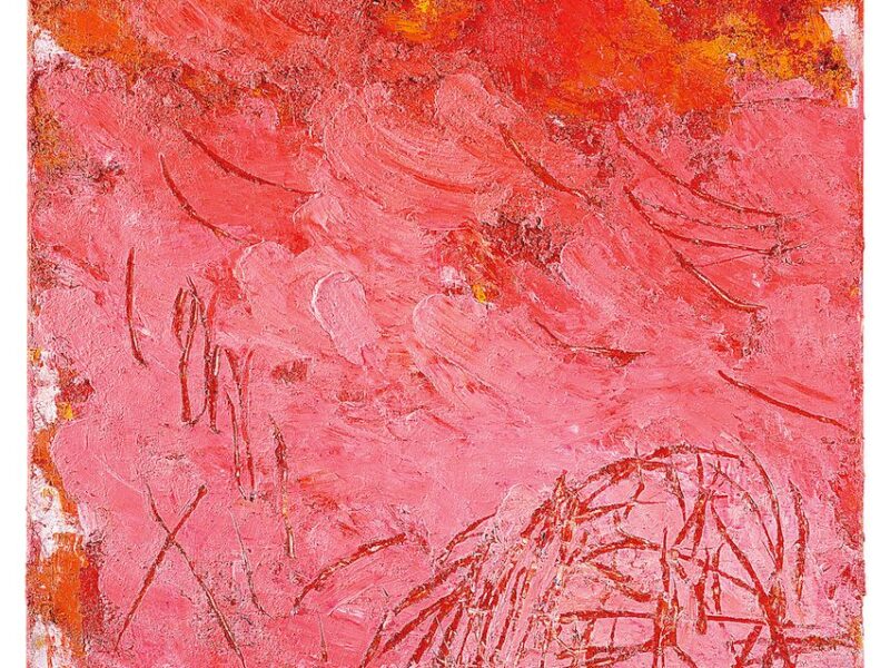 Aida Tomescu, Paroi I, 2007