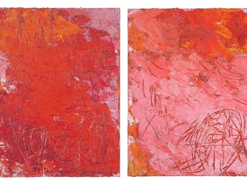 Aida Tomescu, Paroi + Paroi I, 2007
