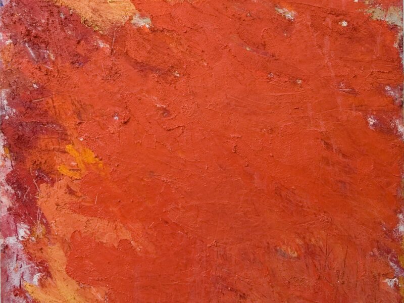Aida Tomescu, Pelt I, 2005
