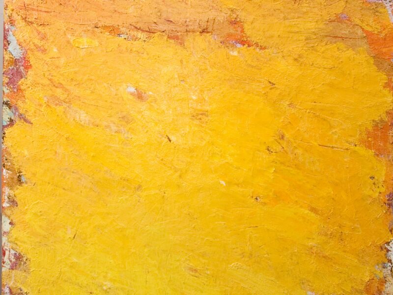 Aida Tomescu, Pelt II, 2005