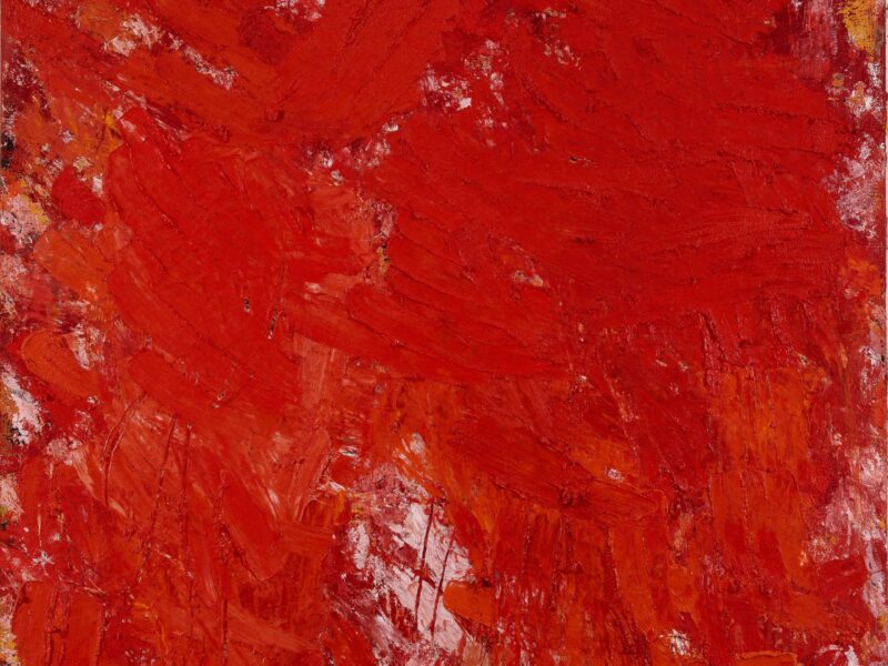 Aida Tomescu, Poinciana, 2008
