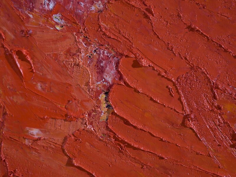 Aida Tomescu, Poinciana (detail 2), 2008