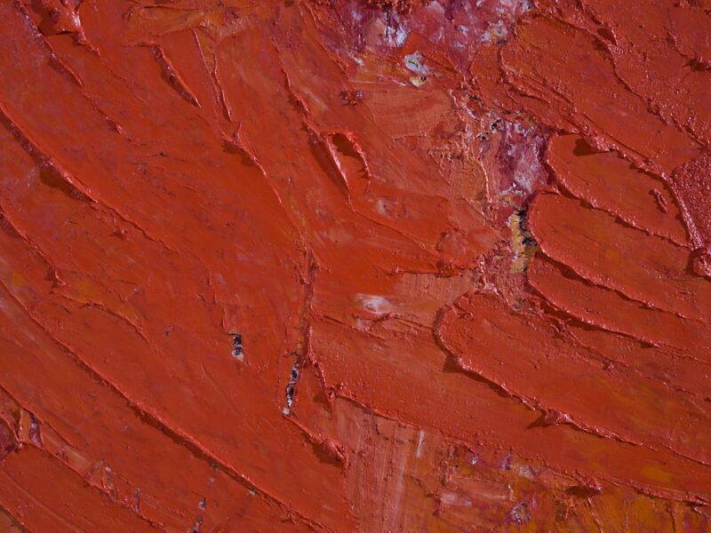 Aida Tomescu, Poinciana (detail 3), 2008