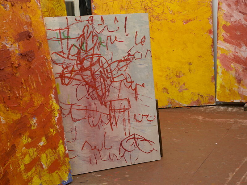 Aida Tomescu, Ravel Exhibition Studio Shot_29, 2008