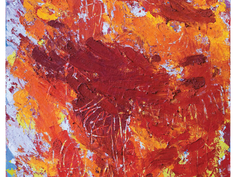 Aida Tomescu, Rialto, 2008