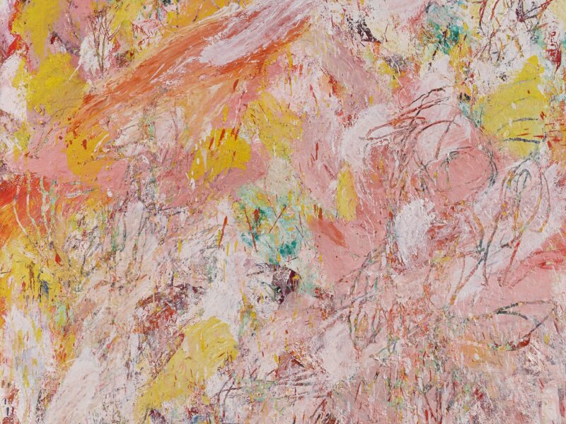 Aida Tomescu, River red, 2013