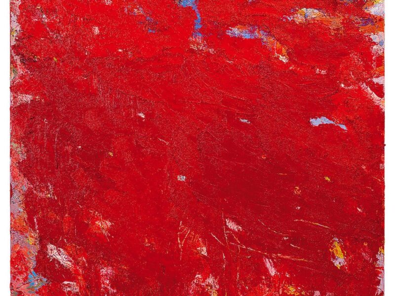 Aida Tomescu, Salamander, 2007