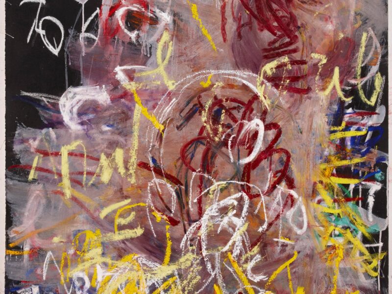 Aida Tomescu, Sodium IV, 2009