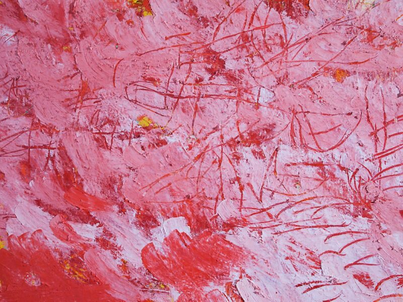 Aida Tomescu, Spora (detail 4), 2008