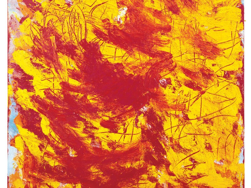 Aida Tomescu, Spora I, 2008