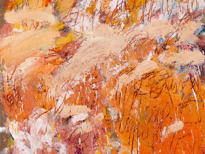 Aida Tomescu, Sunburn, 2012