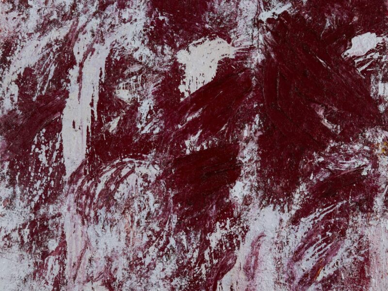 Aida Tomescu, The heart was a place made fast, 2019