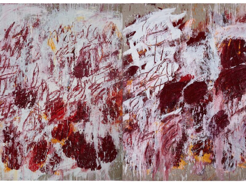 Aida Tomescu, The open wounds of white clouds, 2019