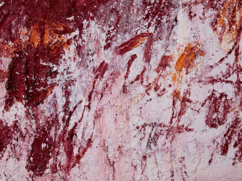 Aida Tomescu, The open wounds of white clouds I (detail), 2019
