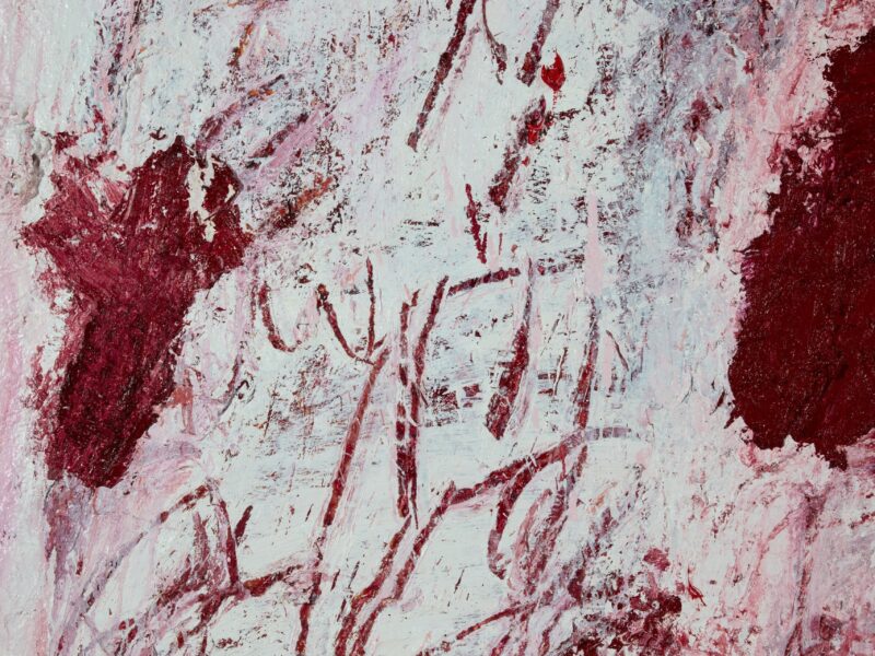 Aida Tomescu, The open wounds of white clouds III (detail), 2019