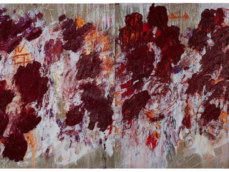 Aida Tomescu, The open wounds of white clouds V, 2019