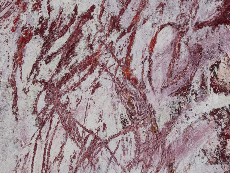 Aida Tomescu, The tongue set free (detail), 2019