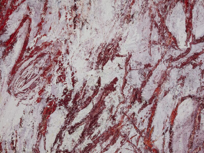 Aida Tomescu, The tongue set free (detail 4), 2019