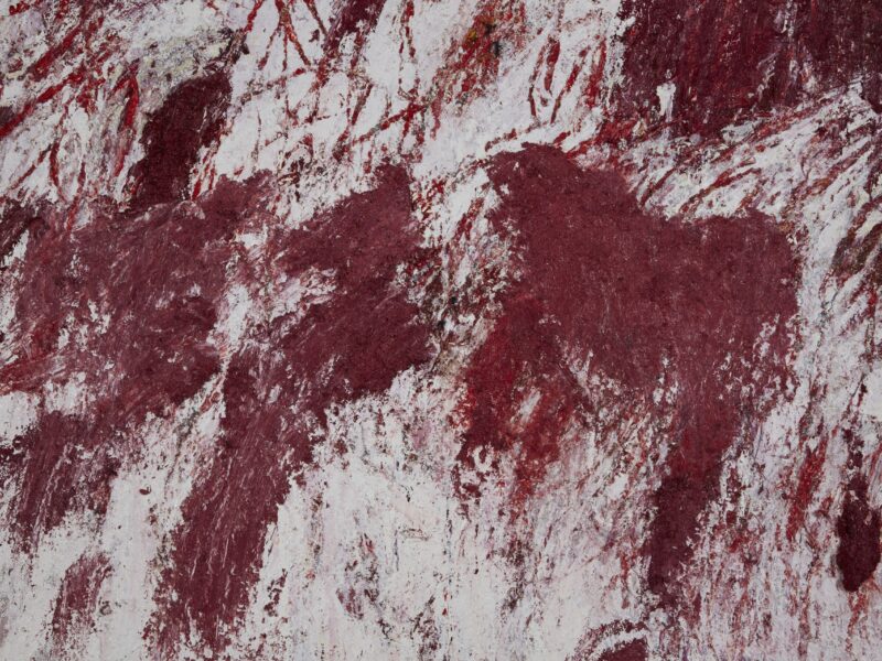 Aida Tomescu, The tongue set free (detail 5), 2019