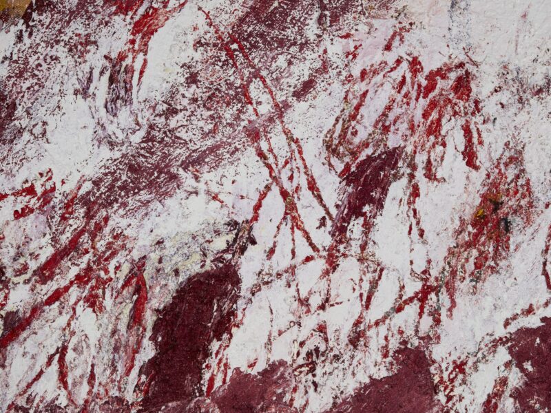 Aida Tomescu, The tongue set free (detail 6), 2019