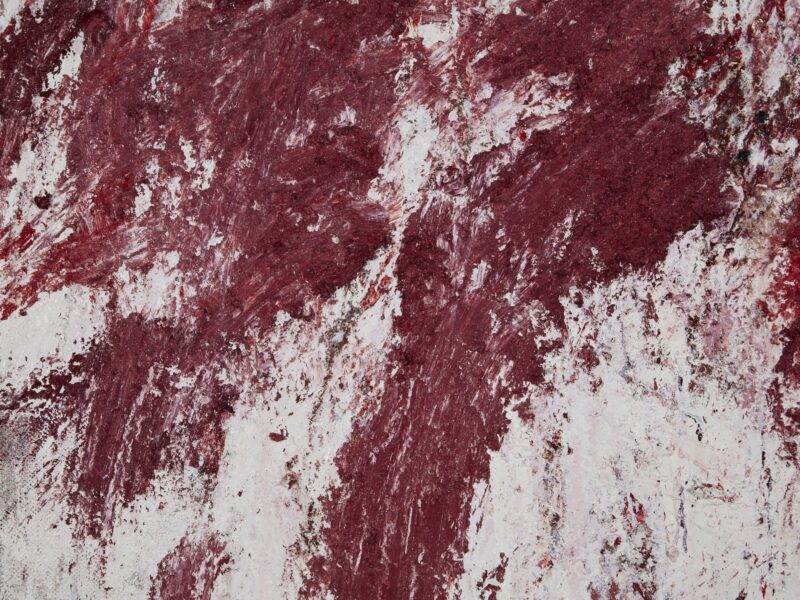 Aida Tomescu, The tongue set free (detail 8), 2019