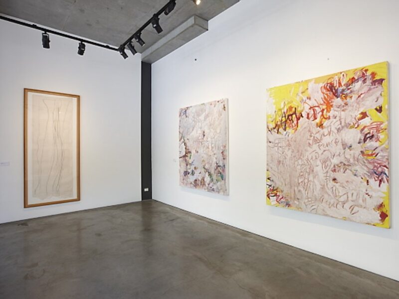 Aida Tomescu, Tuckson/Tomescu Exhibition, Liverpool St Gallery_12
