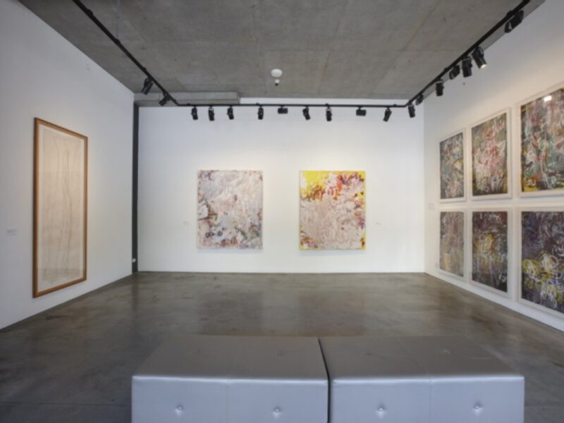 Aida Tomescu, Tuckson/Tomescu Exhibition, Liverpool St Gallery_16