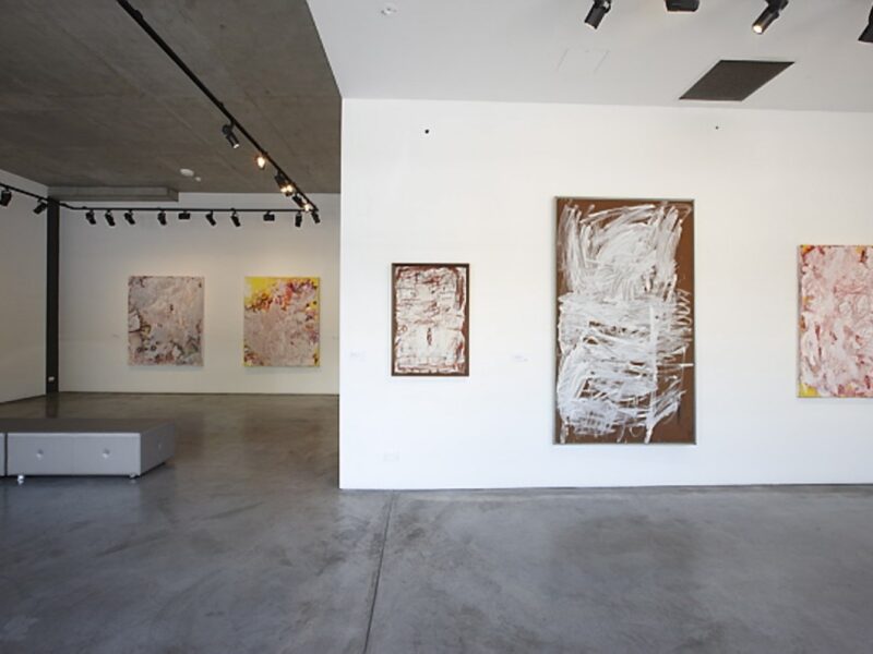 Aida Tomescu, Tuckson/Tomescu Exhibition, Liverpool St Gallery_17