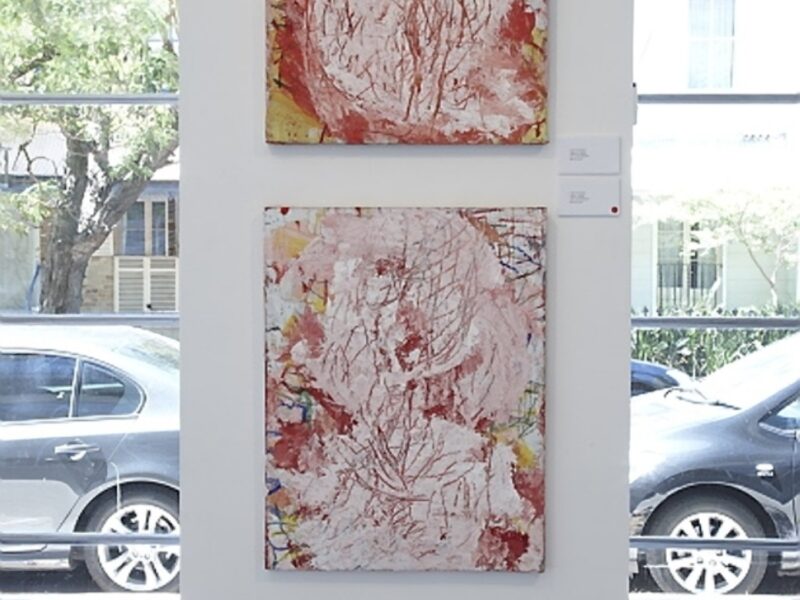 Aida Tomescu, Tuckson/Tomescu Exhibition, Liverpool St Gallery_8