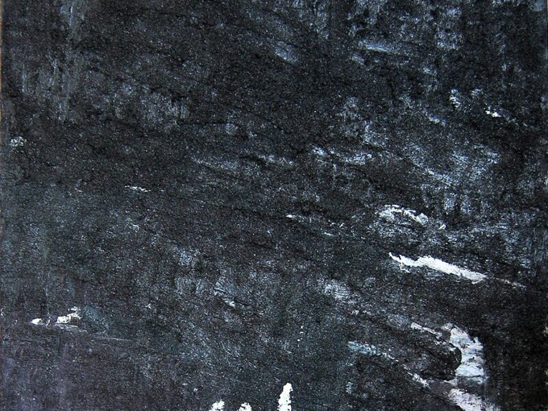Aida Tomescu, Unu, 1999
