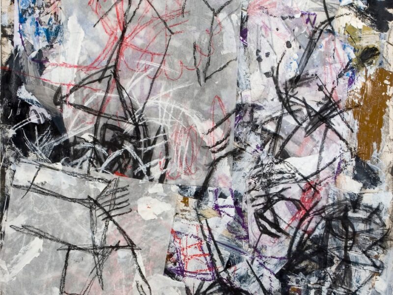 Aida Tomescu, Urbs III, 2005