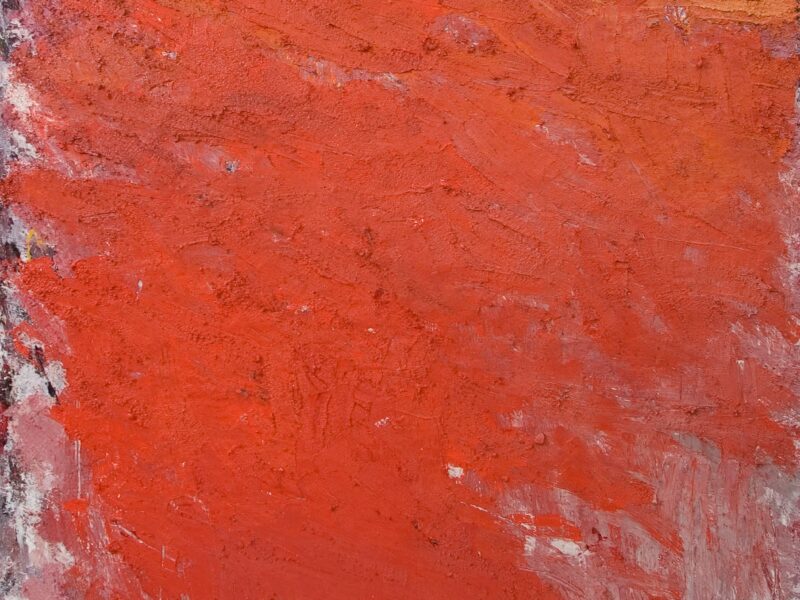 Aida Tomescu, Vent, 2005
