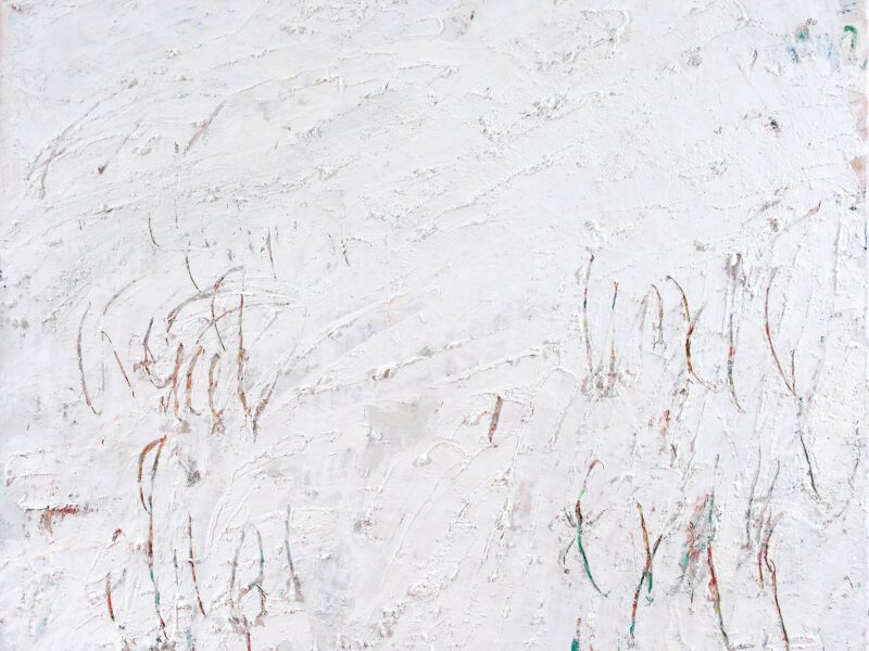 Aida Tomescu, Windfall I, 2010