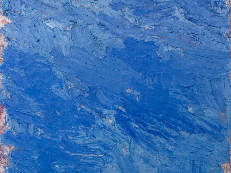 Aida Tomescu, Windhover, 2005