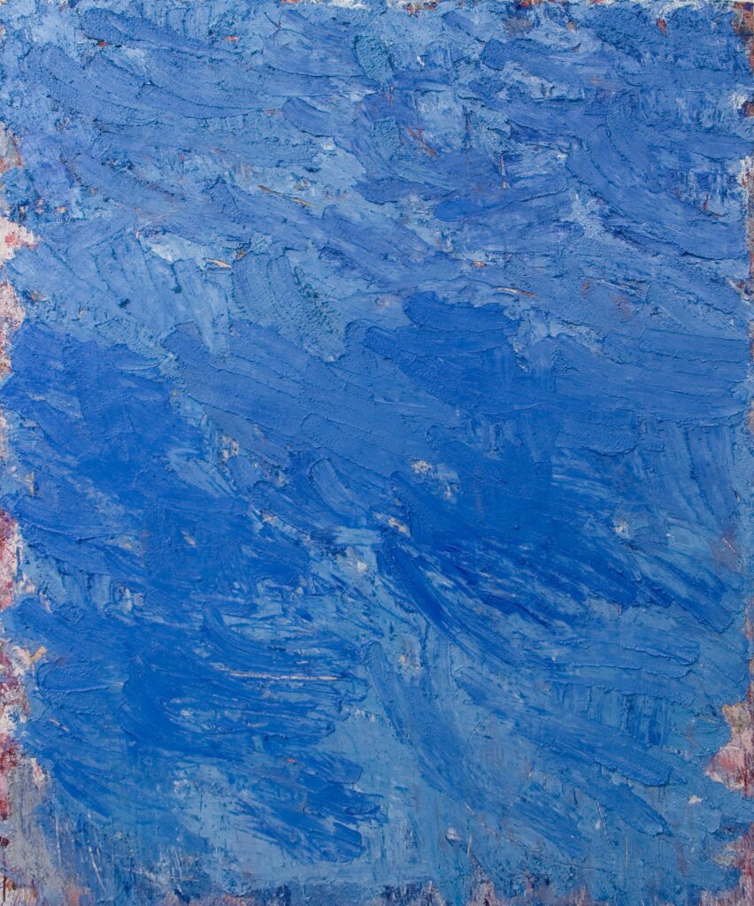 Aida Tomescu, Windhover, 2005